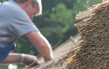 professional Midville thatchers